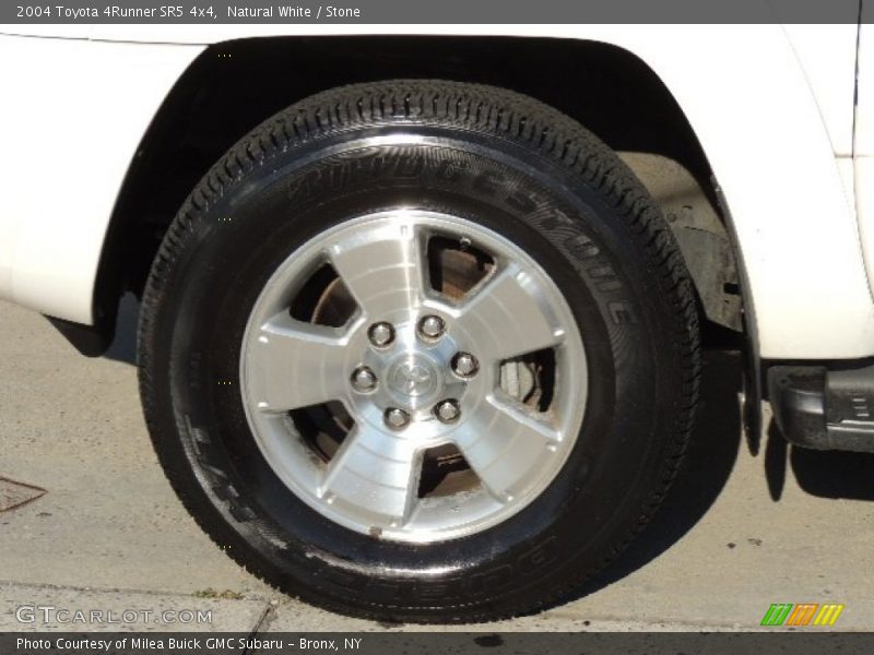 Natural White / Stone 2004 Toyota 4Runner SR5 4x4