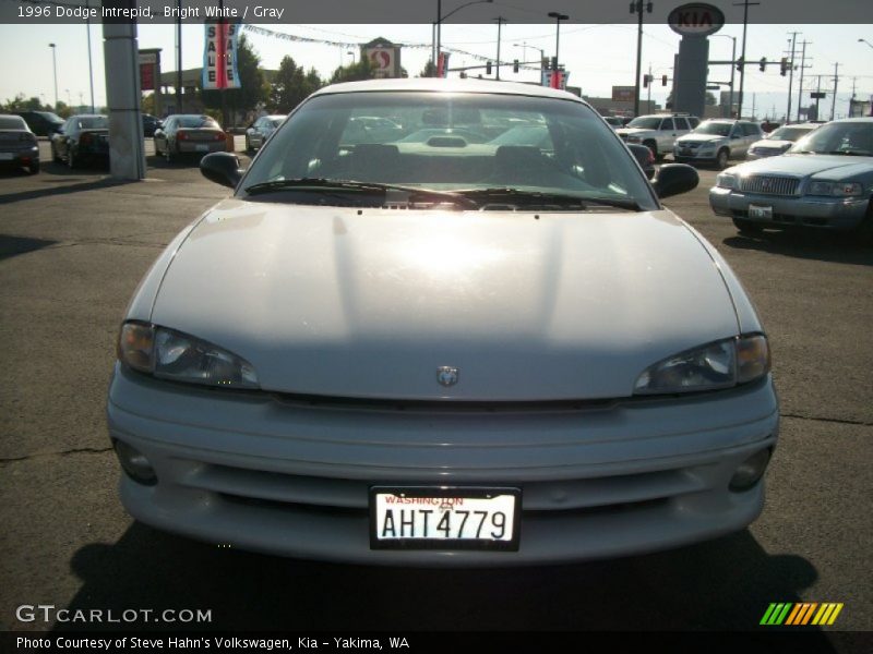 Bright White / Gray 1996 Dodge Intrepid