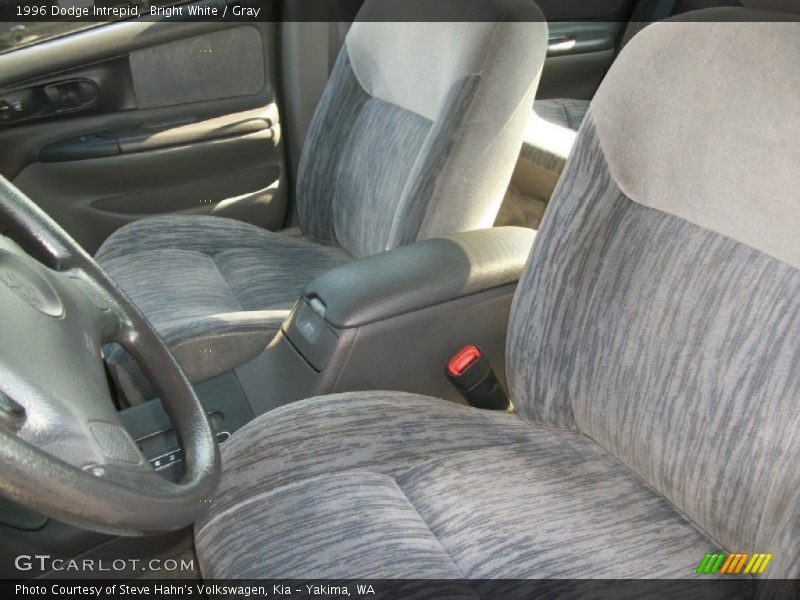 Bright White / Gray 1996 Dodge Intrepid