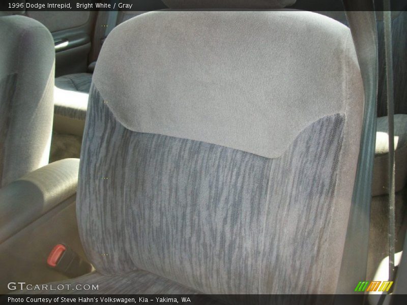 Bright White / Gray 1996 Dodge Intrepid