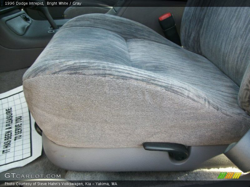 Bright White / Gray 1996 Dodge Intrepid