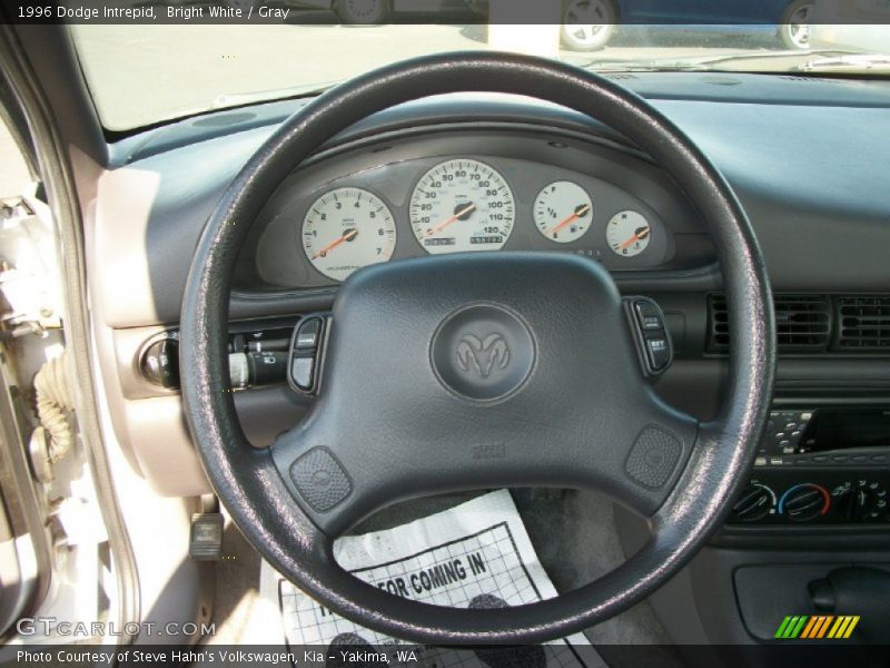 Bright White / Gray 1996 Dodge Intrepid
