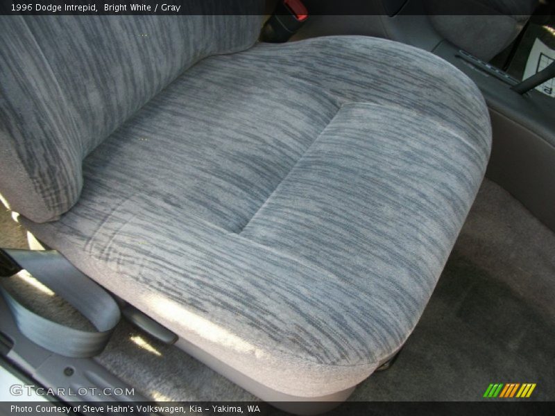 Bright White / Gray 1996 Dodge Intrepid