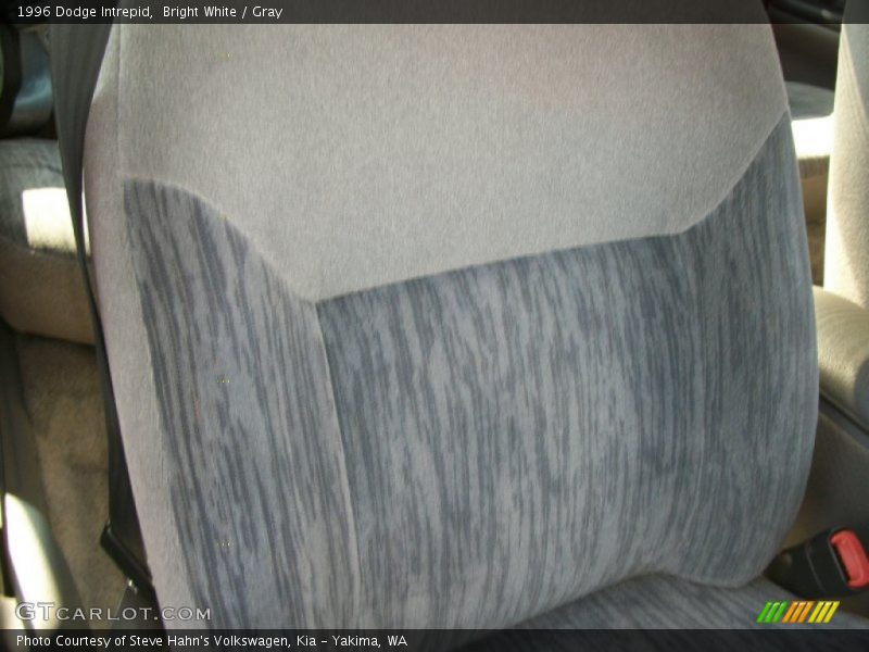 Bright White / Gray 1996 Dodge Intrepid