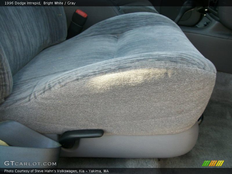 Bright White / Gray 1996 Dodge Intrepid