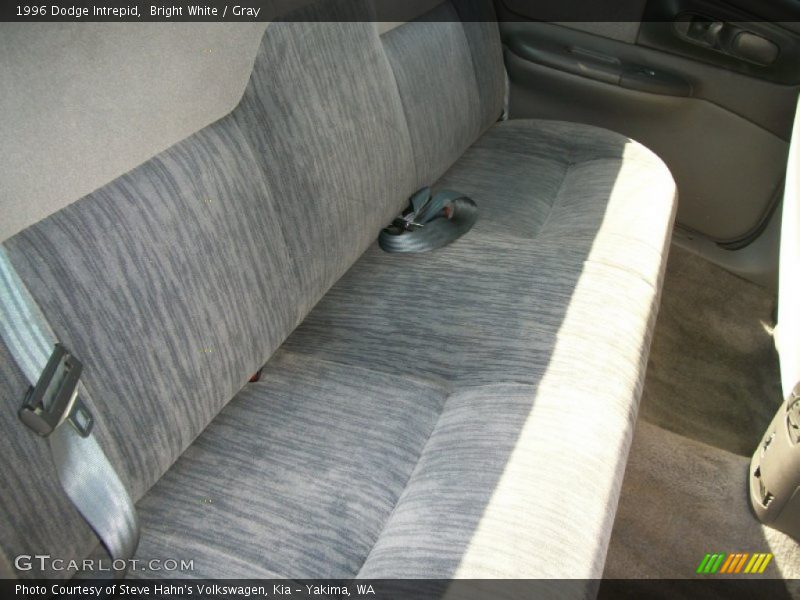 Bright White / Gray 1996 Dodge Intrepid