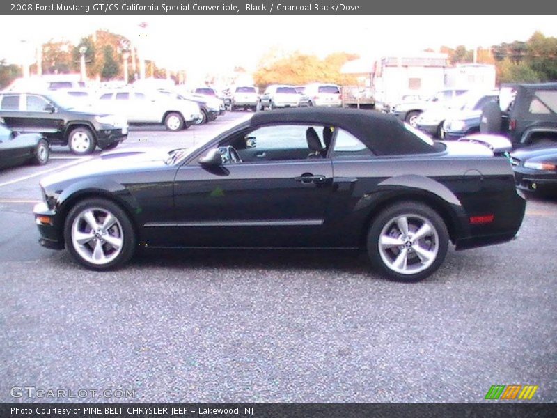 Black / Charcoal Black/Dove 2008 Ford Mustang GT/CS California Special Convertible