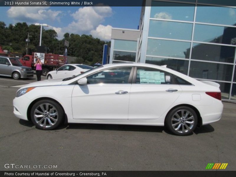 Shimmering White / Black 2013 Hyundai Sonata SE