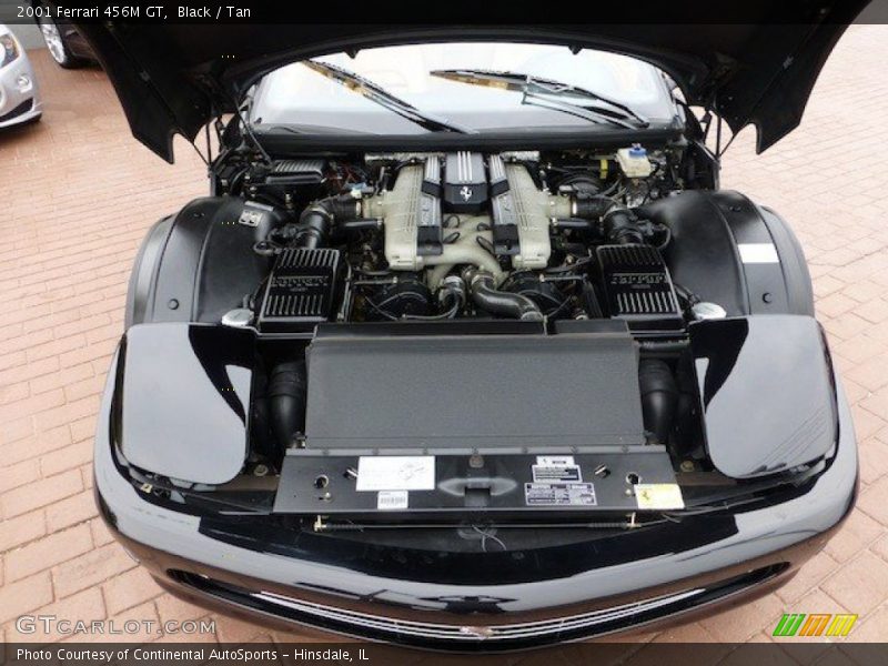  2001 456M GT Engine - 5.5 Liter DOHC 48-Valve V12