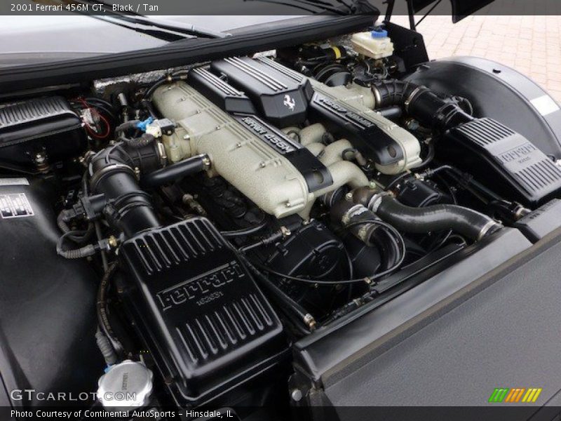  2001 456M GT Engine - 5.5 Liter DOHC 48-Valve V12