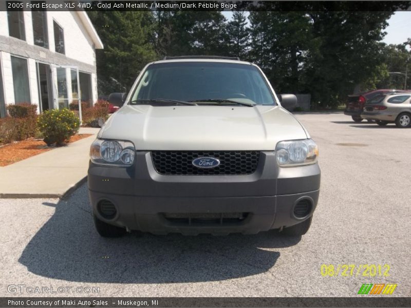 Gold Ash Metallic / Medium/Dark Pebble Beige 2005 Ford Escape XLS 4WD