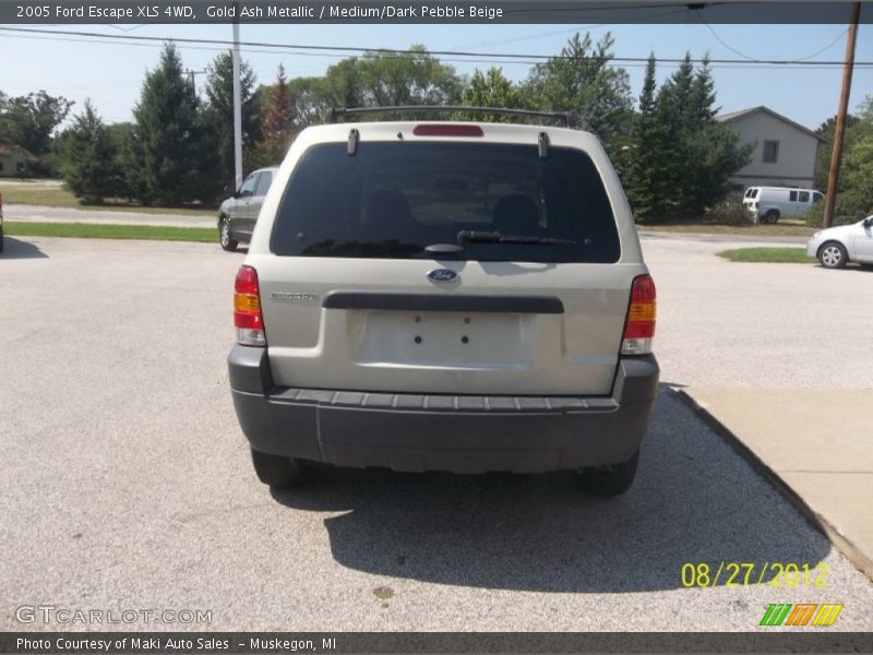 Gold Ash Metallic / Medium/Dark Pebble Beige 2005 Ford Escape XLS 4WD