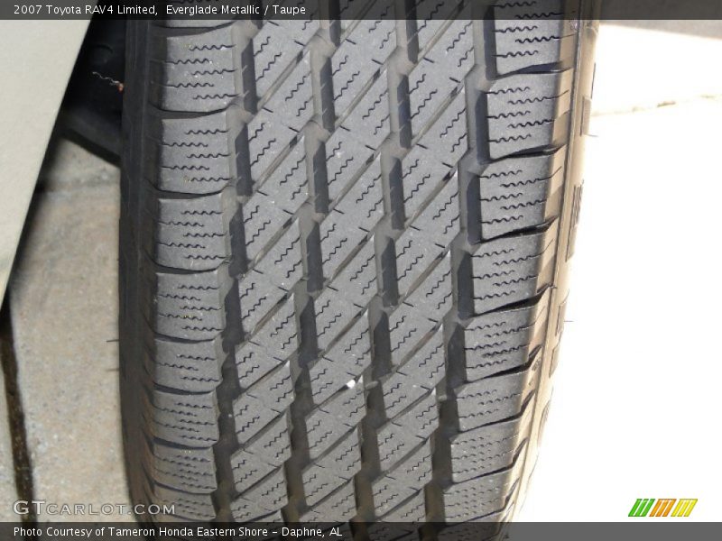 Everglade Metallic / Taupe 2007 Toyota RAV4 Limited