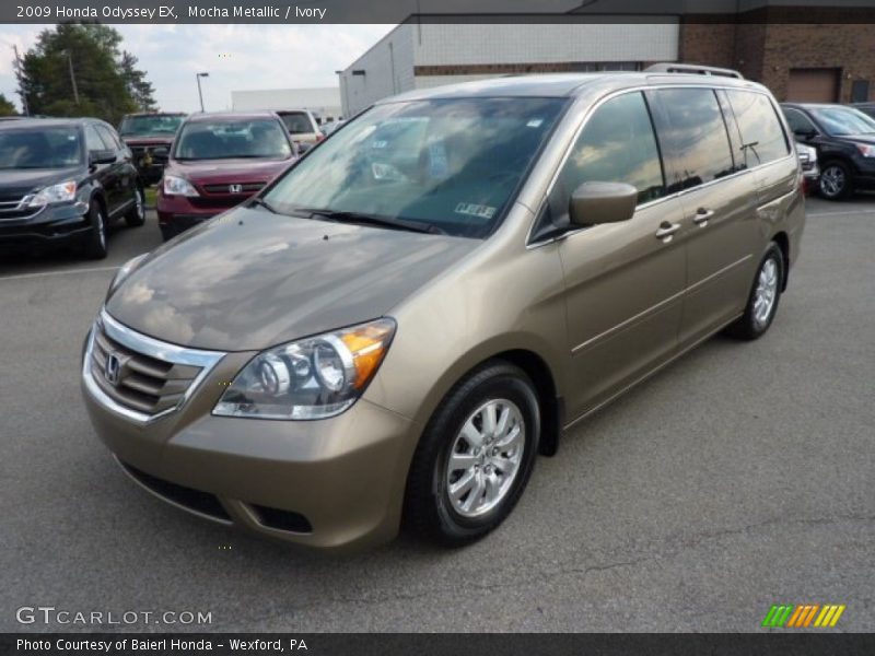 Mocha Metallic / Ivory 2009 Honda Odyssey EX