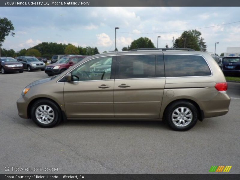 Mocha Metallic / Ivory 2009 Honda Odyssey EX