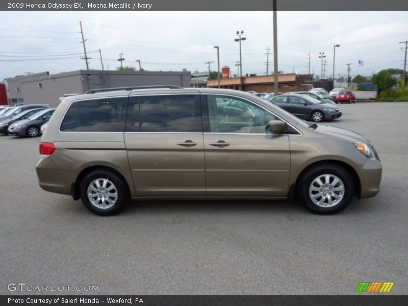 Mocha Metallic / Ivory 2009 Honda Odyssey EX
