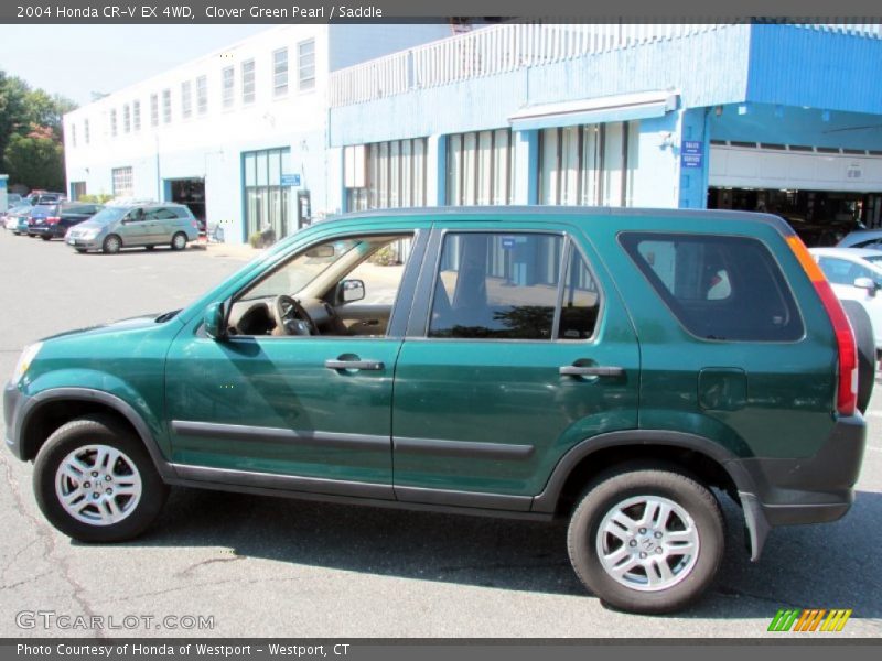 Clover Green Pearl / Saddle 2004 Honda CR-V EX 4WD