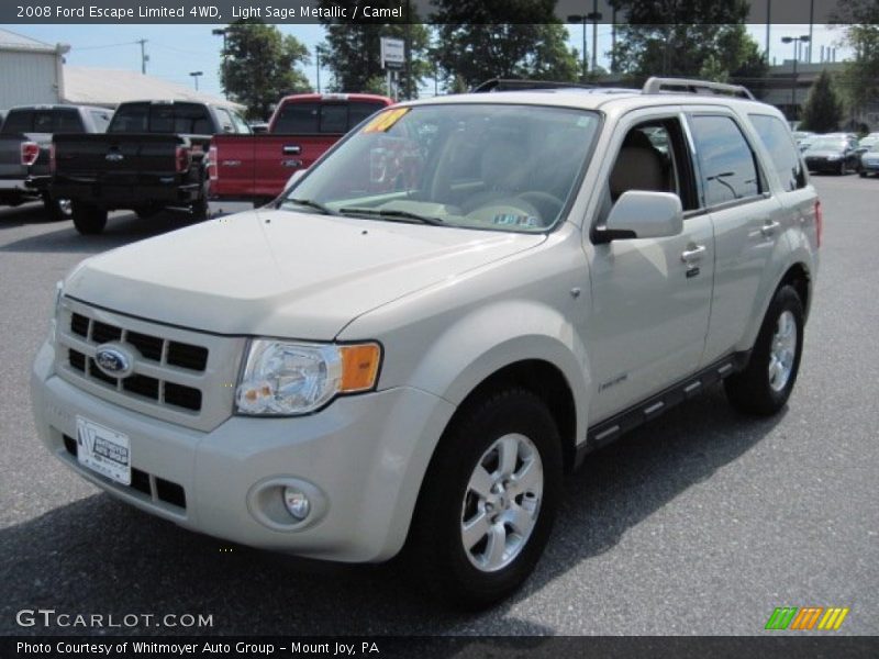 Light Sage Metallic / Camel 2008 Ford Escape Limited 4WD