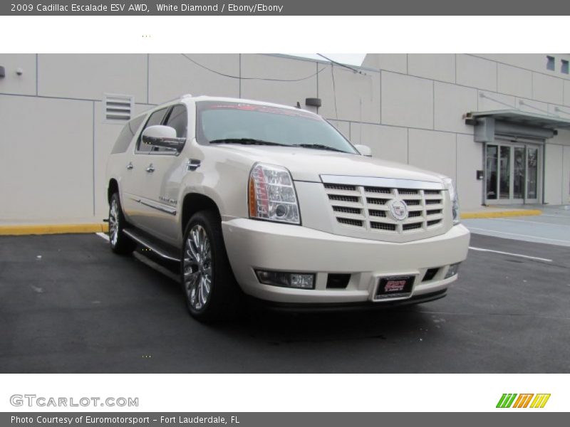 White Diamond / Ebony/Ebony 2009 Cadillac Escalade ESV AWD