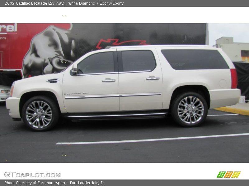 White Diamond / Ebony/Ebony 2009 Cadillac Escalade ESV AWD
