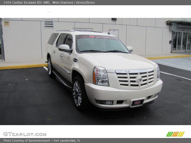 White Diamond / Ebony/Ebony 2009 Cadillac Escalade ESV AWD