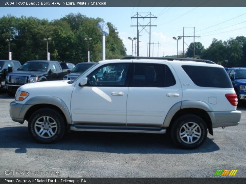 Natural White / Charcoal 2004 Toyota Sequoia SR5 4x4