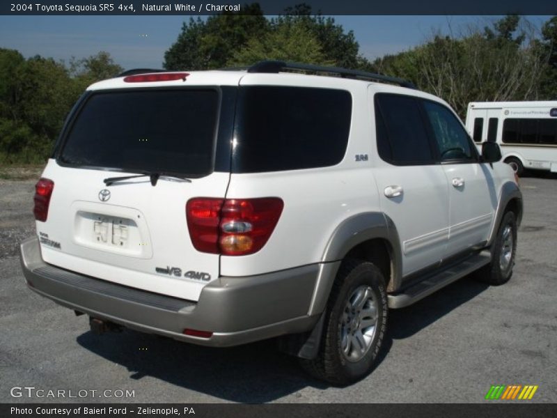 Natural White / Charcoal 2004 Toyota Sequoia SR5 4x4