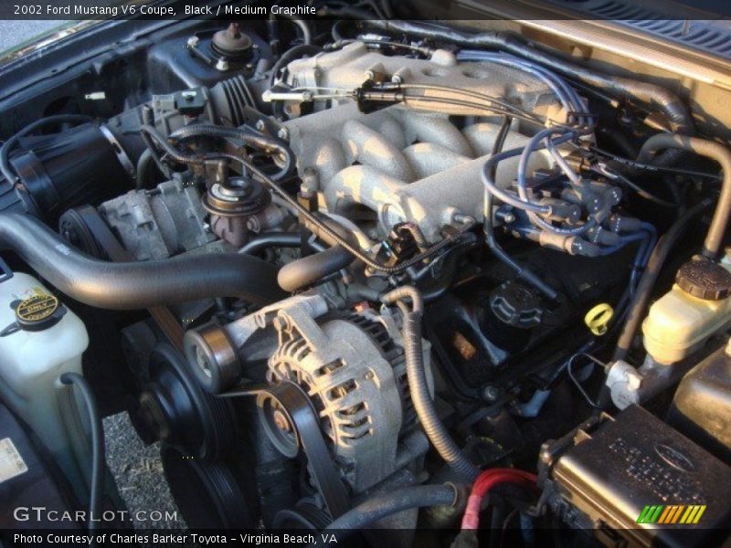 Black / Medium Graphite 2002 Ford Mustang V6 Coupe