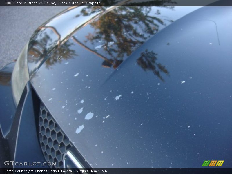 Black / Medium Graphite 2002 Ford Mustang V6 Coupe