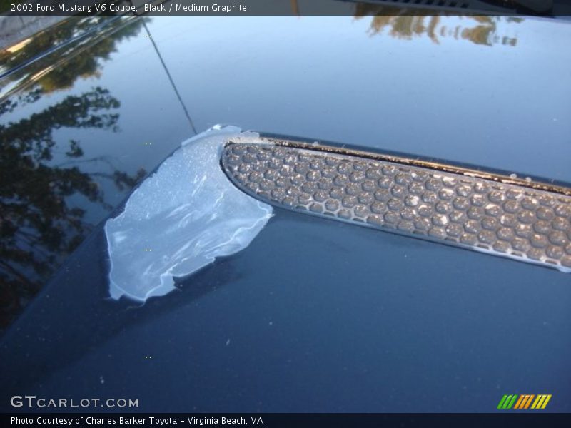 Black / Medium Graphite 2002 Ford Mustang V6 Coupe