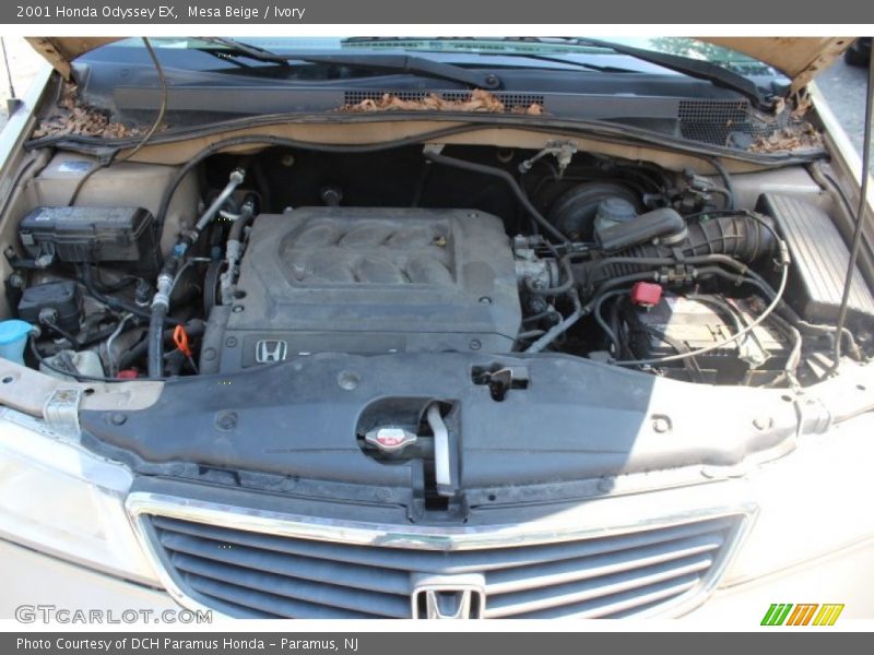 Mesa Beige / Ivory 2001 Honda Odyssey EX