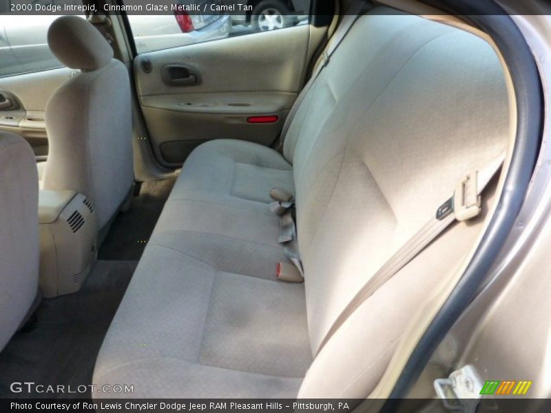 Cinnamon Glaze Metallic / Camel Tan 2000 Dodge Intrepid