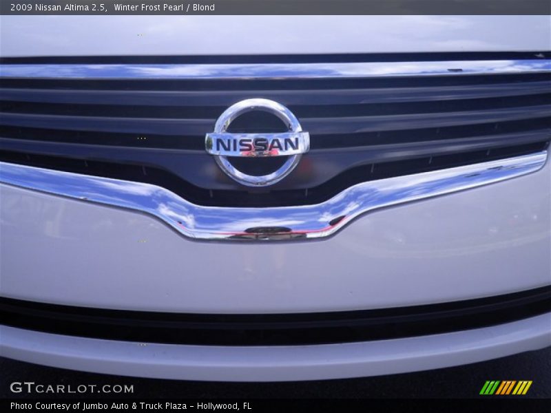 Winter Frost Pearl / Blond 2009 Nissan Altima 2.5