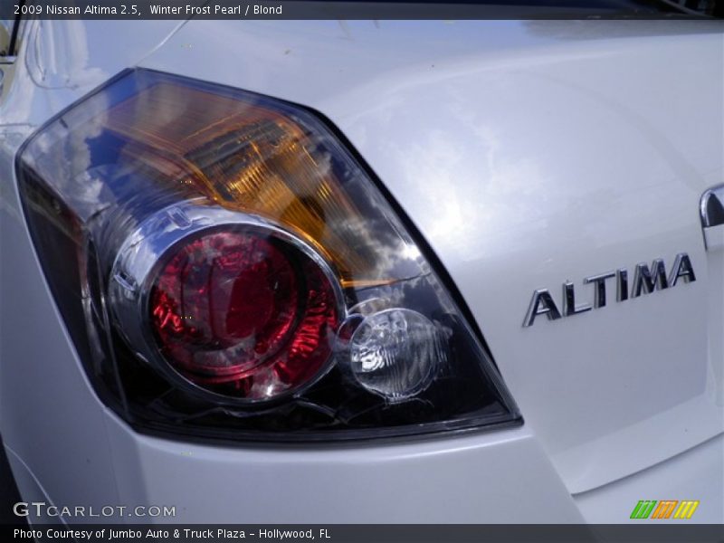 Winter Frost Pearl / Blond 2009 Nissan Altima 2.5