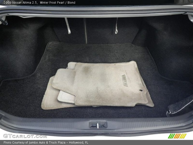 Winter Frost Pearl / Blond 2009 Nissan Altima 2.5