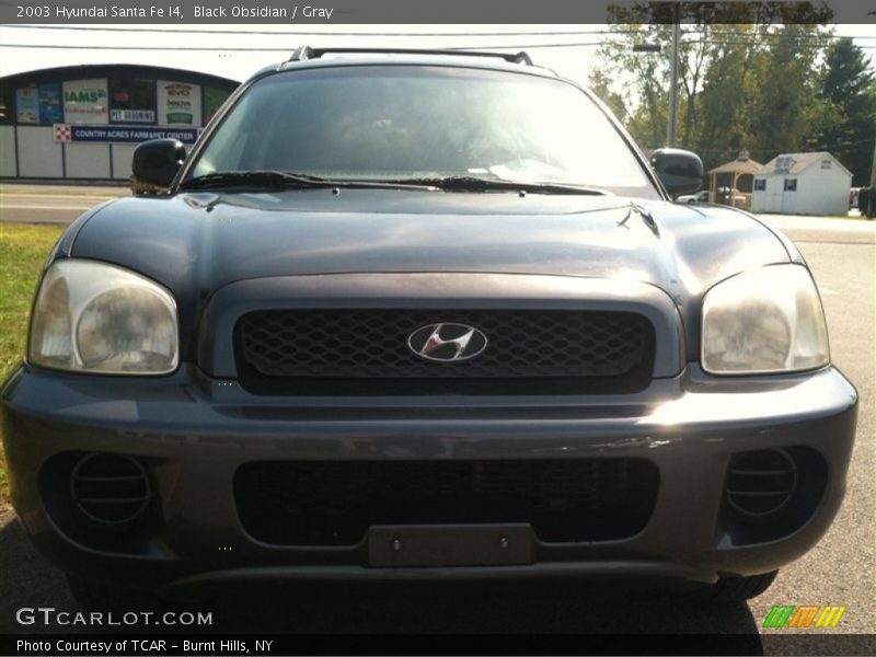 Black Obsidian / Gray 2003 Hyundai Santa Fe I4