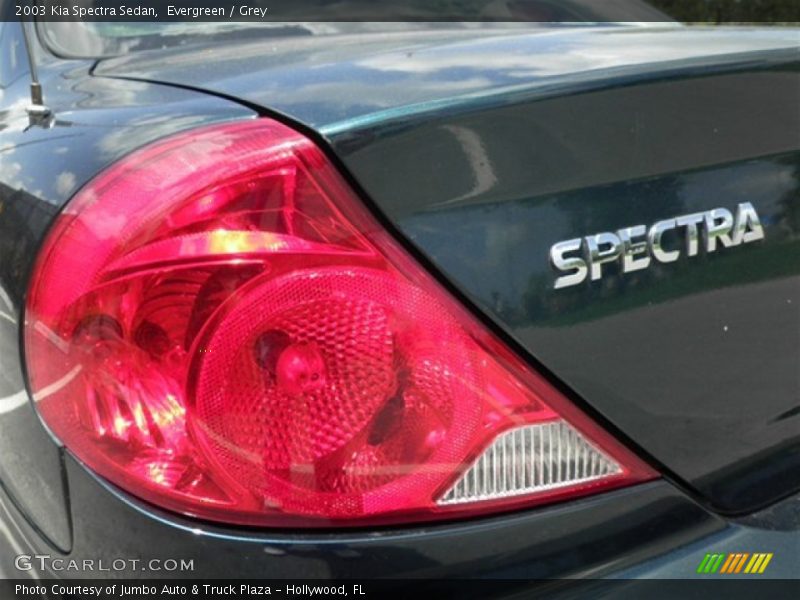 Evergreen / Grey 2003 Kia Spectra Sedan
