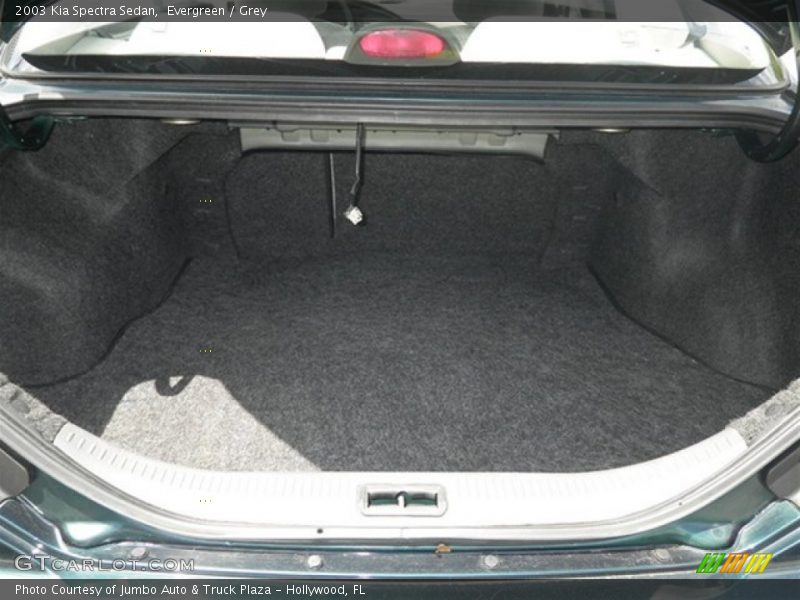 Evergreen / Grey 2003 Kia Spectra Sedan