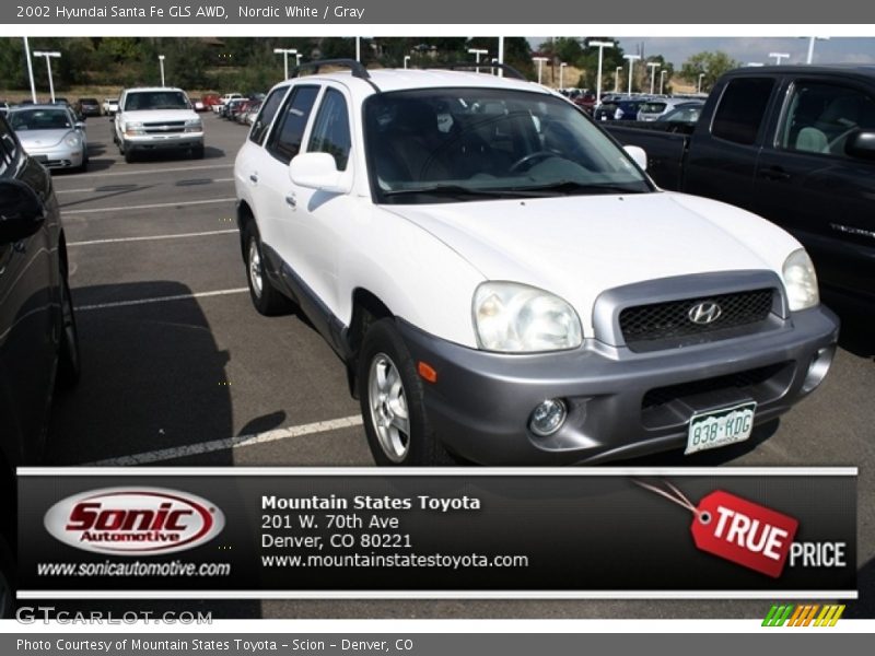 Nordic White / Gray 2002 Hyundai Santa Fe GLS AWD