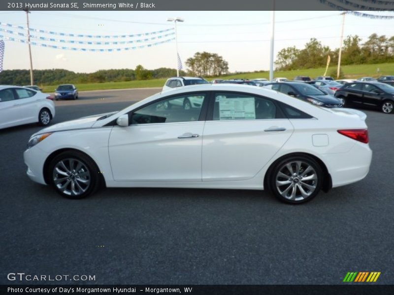 Shimmering White / Black 2013 Hyundai Sonata SE