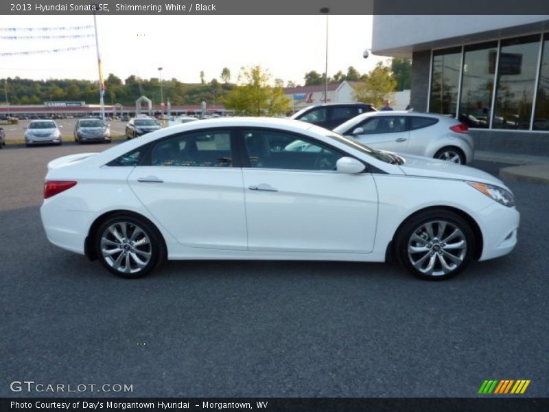 Shimmering White / Black 2013 Hyundai Sonata SE