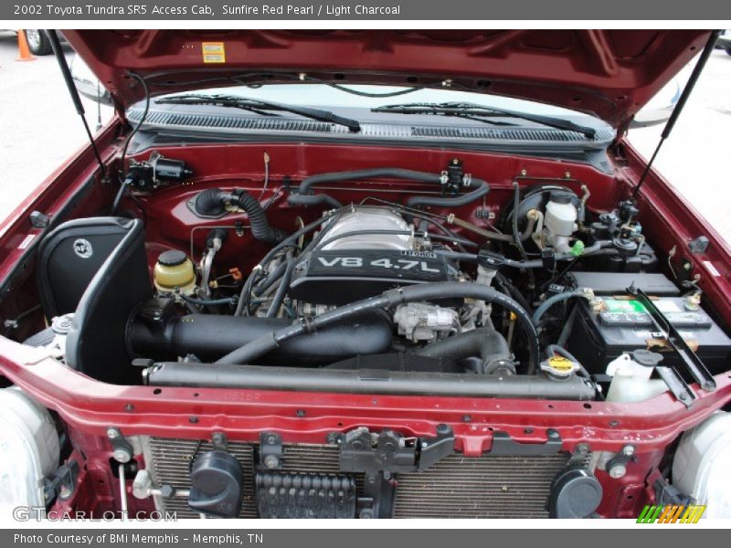 Sunfire Red Pearl / Light Charcoal 2002 Toyota Tundra SR5 Access Cab