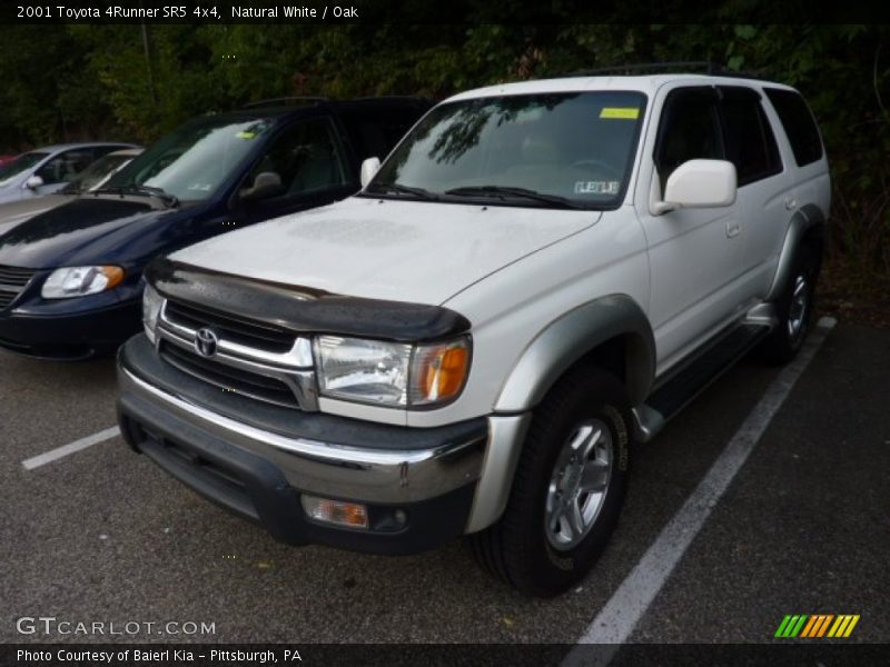 Natural White / Oak 2001 Toyota 4Runner SR5 4x4