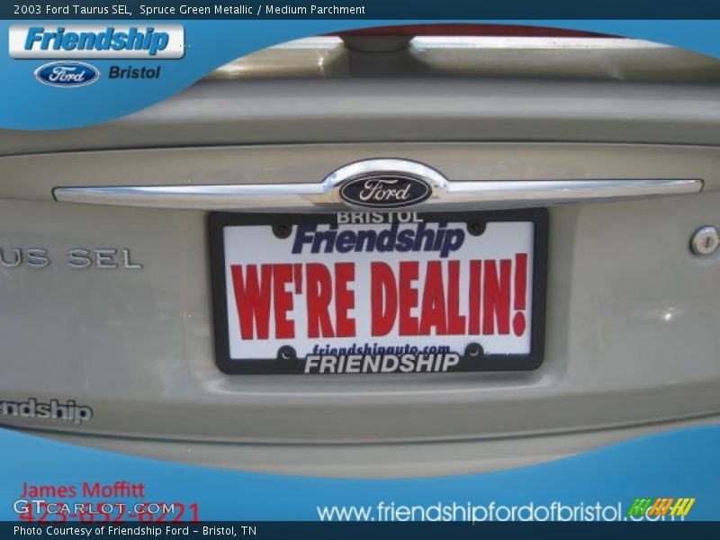 Spruce Green Metallic / Medium Parchment 2003 Ford Taurus SEL
