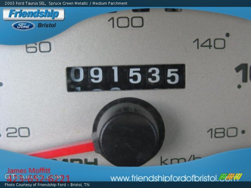 Spruce Green Metallic / Medium Parchment 2003 Ford Taurus SEL