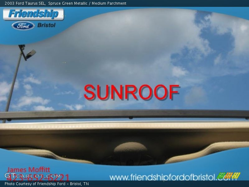 Spruce Green Metallic / Medium Parchment 2003 Ford Taurus SEL