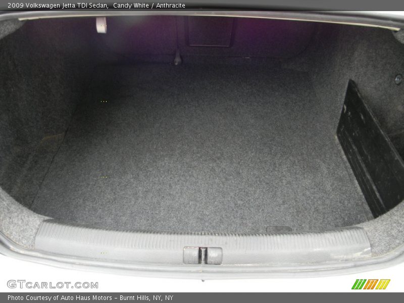 Candy White / Anthracite 2009 Volkswagen Jetta TDI Sedan