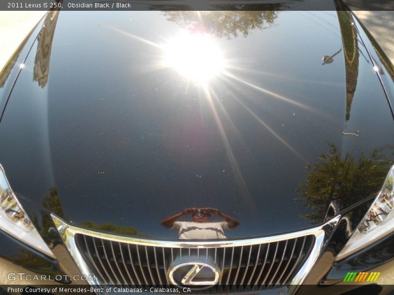 Obsidian Black / Black 2011 Lexus IS 250