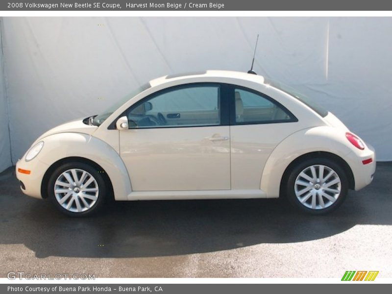Harvest Moon Beige / Cream Beige 2008 Volkswagen New Beetle SE Coupe
