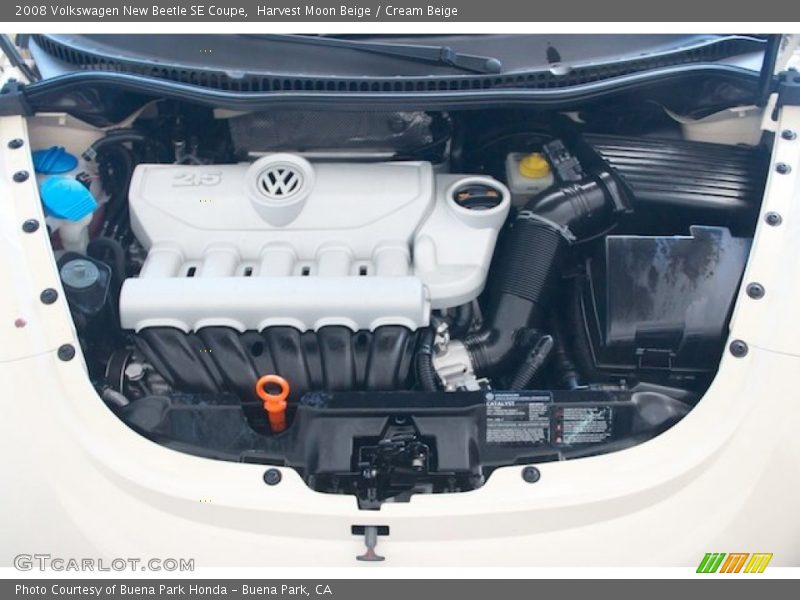 Harvest Moon Beige / Cream Beige 2008 Volkswagen New Beetle SE Coupe